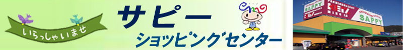 美濃市のサピーショッピングセンター